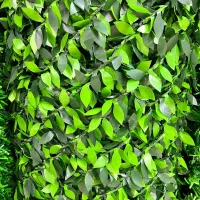 فنس برگی/فنس چمنی|مصالح و تجهیزات ساختمان|تهران, مهران (سیدخندان)|دیوار