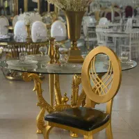 صندلی مدل دینا/تالار/تالاری