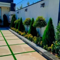 خدمات باغبانی باغچه کاری گل کاری تعویض خاک گلدون