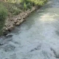 یک لنگه آب رودخانه ای ابگرگ