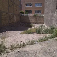 زمین-شمالی244متر-غرضی-آزادی