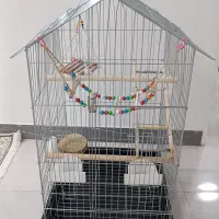 ۲ تا قفس سالم و نو