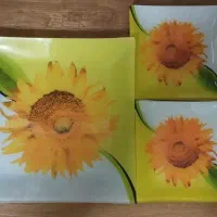 ظروف پذیرایی
