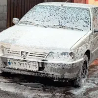 ستخدام کارگر کارواش