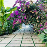 ویلا باغ مشجر ۴۰۰متری سندششدانگ انشعابات اختصاصی|فروش خانه و ویلا|امامزاده عبدالله, |دیوار