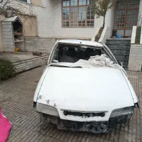 زانتیا تصادفی