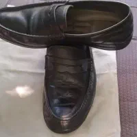 کالج چرم .کتونی پوما اصل|کیف، کفش، کمربند|تهران, شکوفه (عبدل آباد)|دیوار