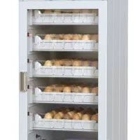 جوجه کشی کاکس