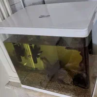 آکواریوم Delsa|ماهی|مشهد, فاطمیه|دیوار