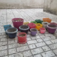 گلدان