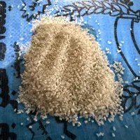 شمیم دانه درشت و بلند|خوردنی و آشامیدنی|شادگان, |دیوار