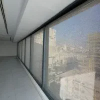 شید رول زبرا