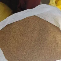 بذر یونجه