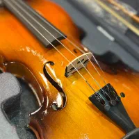 ویالون universal|ویولن|تهران, فردوسی|دیوار