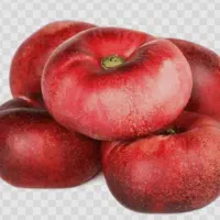 نهال شلیل انجیری|خدمات باغبانی و درختکاری|جوانرود, |دیوار