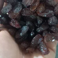 کشمیش امسال تمیز شده