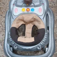 رورک|اسباب و اثاث بچه|تبریز, |دیوار