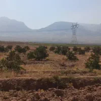 زمین کشاورزی جاده کارخانه سیمان استهبان نشهر|فروش زمین و ملک کلنگی|رونیز, |دیوار