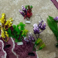 آکواریوم|ماهی|میانه, |دیوار