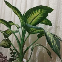 نقاشی ساختمان