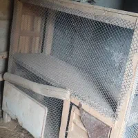 قفس برای پرندگان زینتی وکبوتر