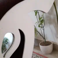 اینه|آینه|تبریز, |دیوار