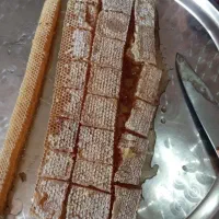 عسل طبیعی
