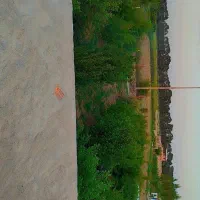 باغ انار 1000متری چهار ساله روستای زنگیان|فروش زمین و ملک کلنگی|گرگان, |دیوار