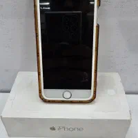 گوشی آیفون ۶ طلا در حد خشک