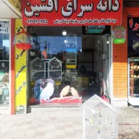 دانهسرای افشین|پرنده|اسدآباد, |دیوار