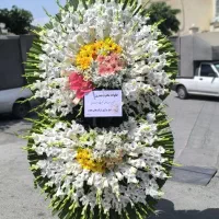 مدل 230با ارسال رایگان تاجگل