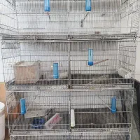 قفس ۸ خان اردشیر