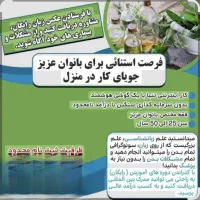 فرصت عالی برای بانوان خانه دار با در آمد عالی