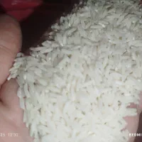 برنج طارم هاشمی فریدونکنار|خوردنی و آشامیدنی|تهران, جنتآباد جنوبی|دیوار
