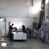 کارگر ساده خانم و آقا