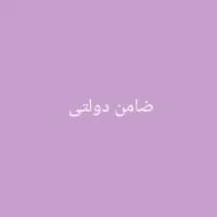 ضامن دولتی