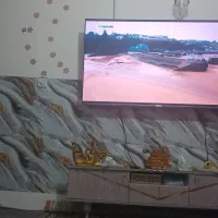 تلوزیون دوو۶۵