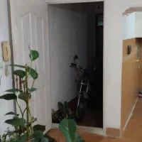 اجاره خانه جانبازان|اجارهٔ آپارتمان|رشت, جانبازان|دیوار