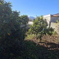 ۲۰۰متر مسکونی شهری گورابزرمیخ