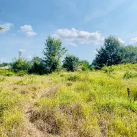 فروش ۲۵۷ متر زمین شهری روستایی با مدارک معتبر|فروش زمین و ملک کلنگی|املش, |دیوار