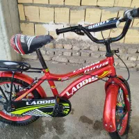 دوچرخه 16|دوچرخه، اسکیت، اسکوتر|خزل, |دیوار