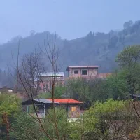 خدمات باغ داری