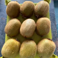 کیوی صادراتی