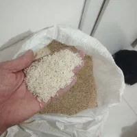 برنج هاشمی محصول خودم