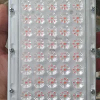 دو عدد لامپ رشد گیاه|لامپ و چراغ|فولادشهر, C4|دیوار