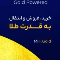 میلی ۱۰۰تومن ببر