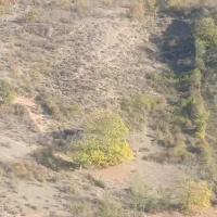 فروش یک قطعه زمین