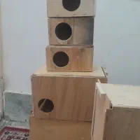 لونه ی پرنده،در دو طرح ،کشویی وساده