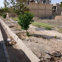 فروش زمین مسکونی ایده آل جهت سازندگی و سرمایه گذار