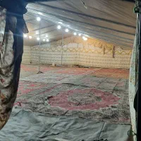 کرایه چادر عروسی